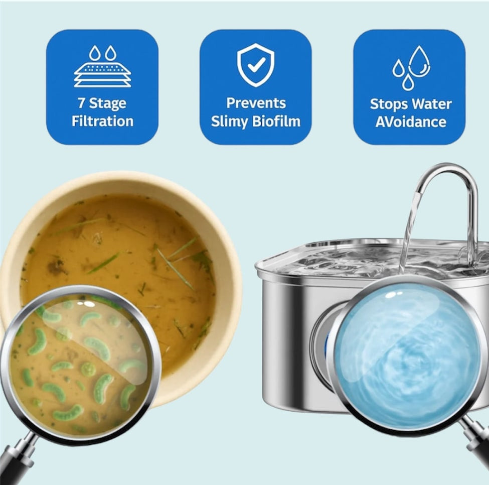 PAW SPRING Hydration Hub
