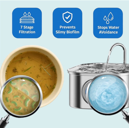 PAW SPRING Hydration Hub